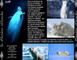 LA PLANETE BLANCHE
